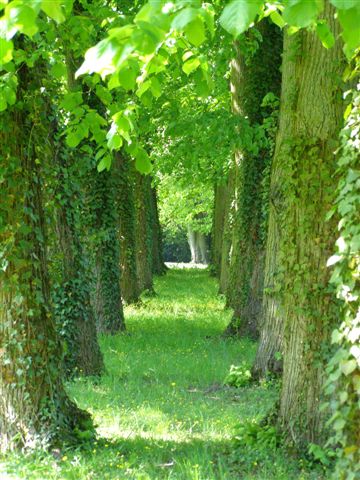 Gretz-Armainvilliers arboretum du Val des Dames