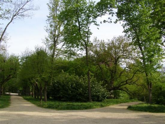Le Mée-sur-Seine parc Chapu