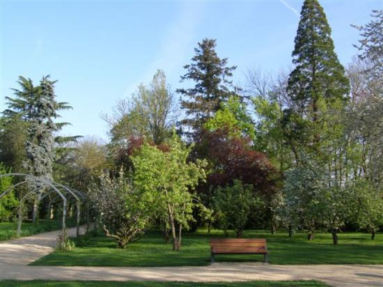 Brie-Comte-Robert jardin des Bienfaites