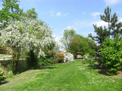 Montévrain (Chessy) : parc des Frênes (et du Bicheret)