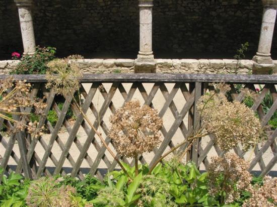 Donnemarie-Dontilly  jardin du cloître