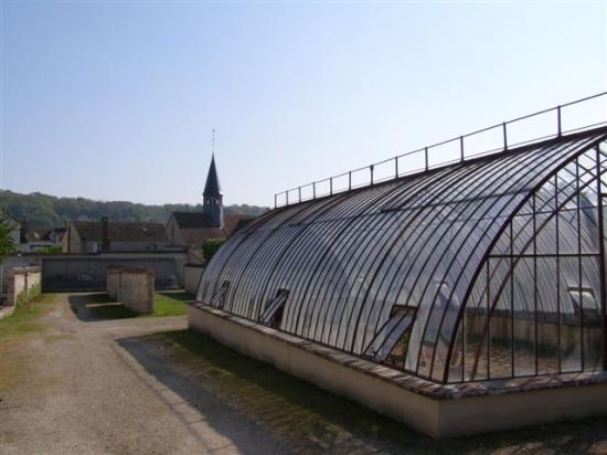 Thomery  jardin Salomon