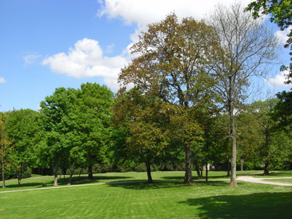 Montgé-en-Goële domaine St. Thibault