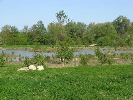 Meaux  parc naturel du Pâtis