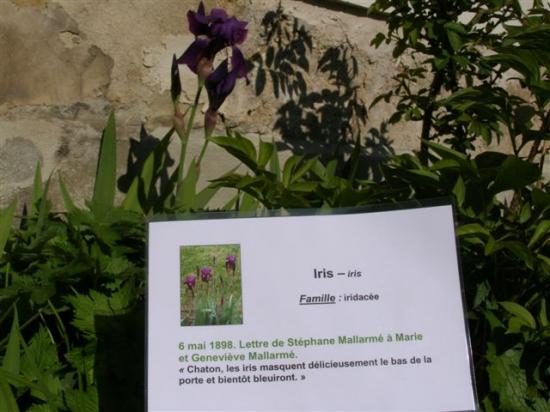 Vulaines-sur-Seine  jardin du musée Mallarmé