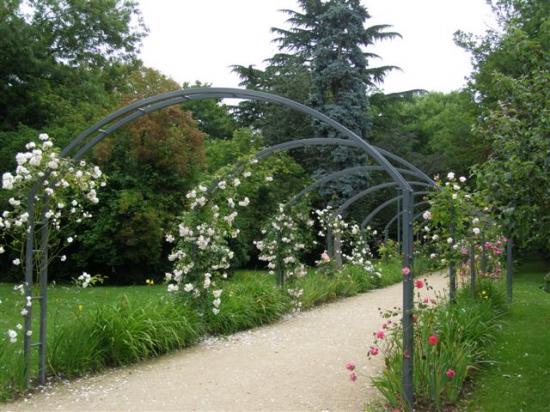 Brie-Comte-Robert jardin des Bienfaites