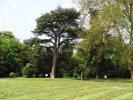 Ferrières-en-Brie parc du château