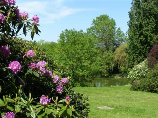 Dammartin-en-Goële : parc de la Corbie