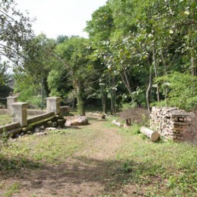 Poigny - parc de la mairie