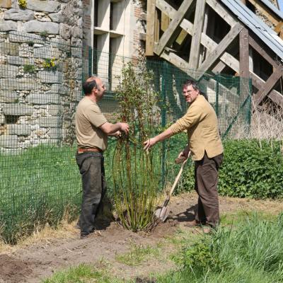 Plantons pour la planète, plantons pour nos régions