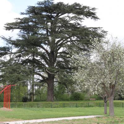 Savigny-le-Temple : domaine de la Grange - la Prévôté