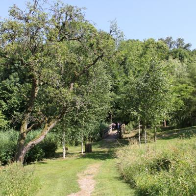 F'été Dammartin, parc de la Corbie