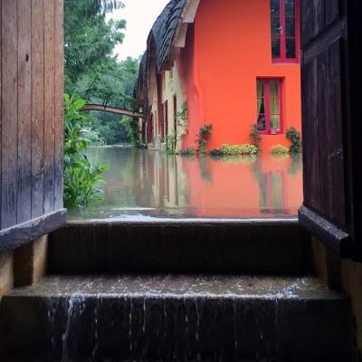 Crecy le Moulin jaune