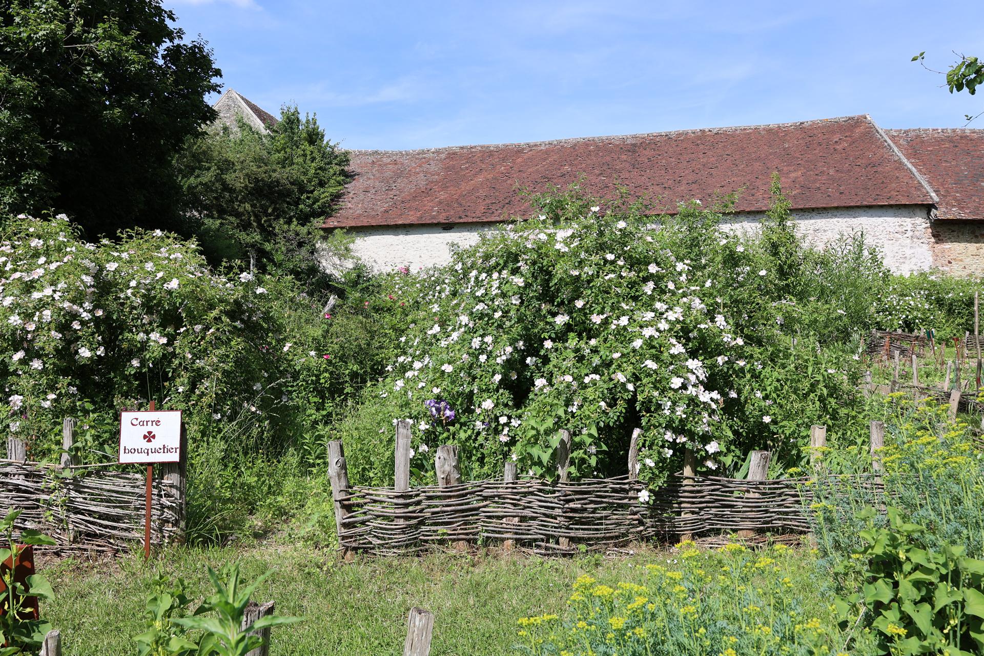 Coulommiers