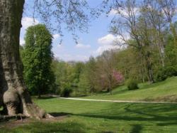 Pringy fiche g.JPG