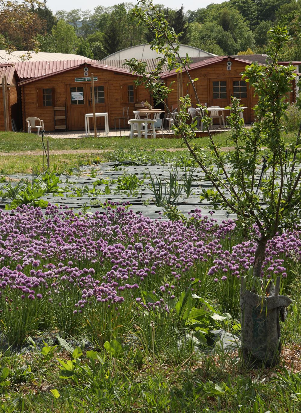 Jardins de cocagne