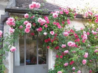La vie en roses