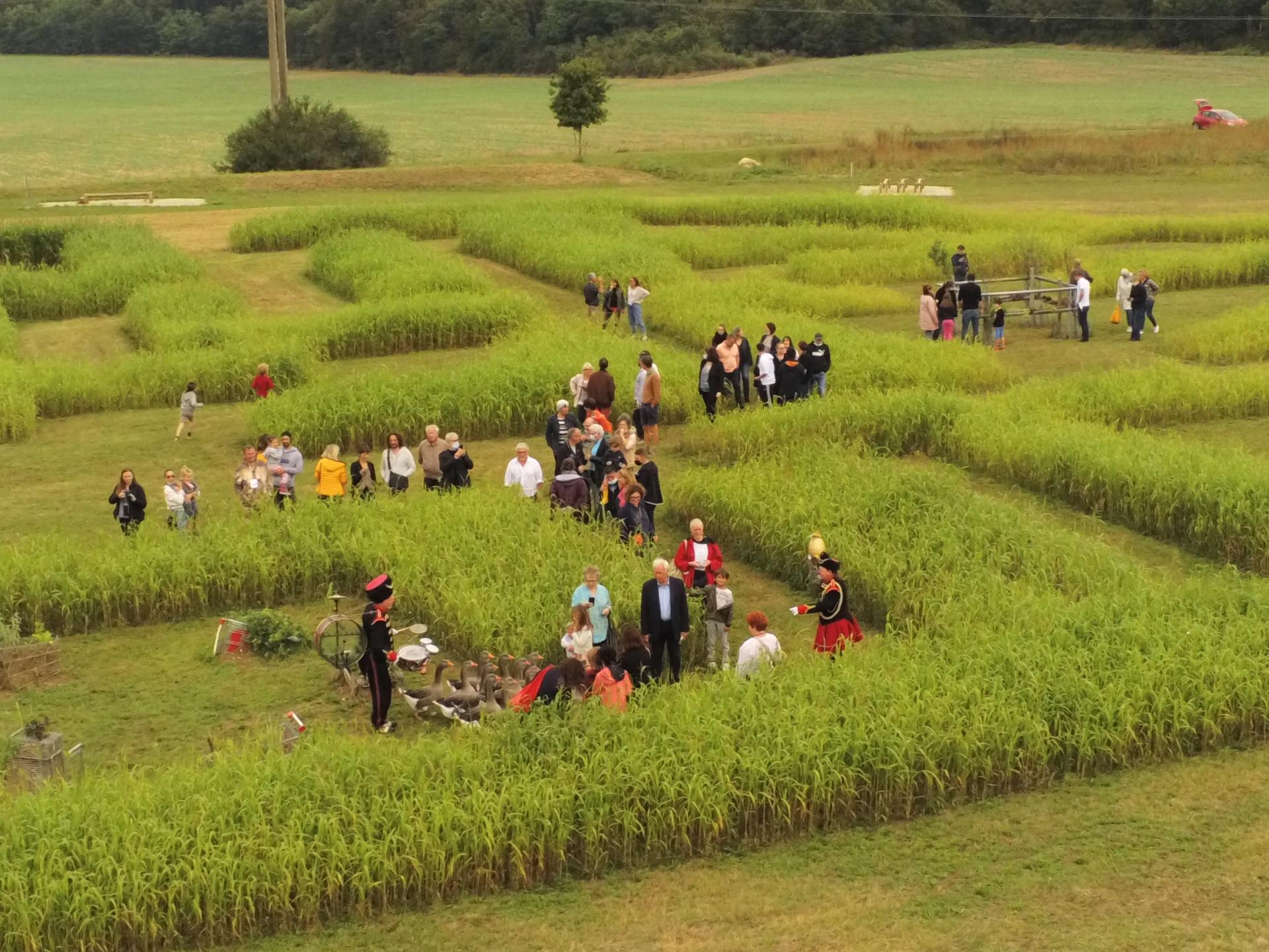 Labyrinthe ae rien