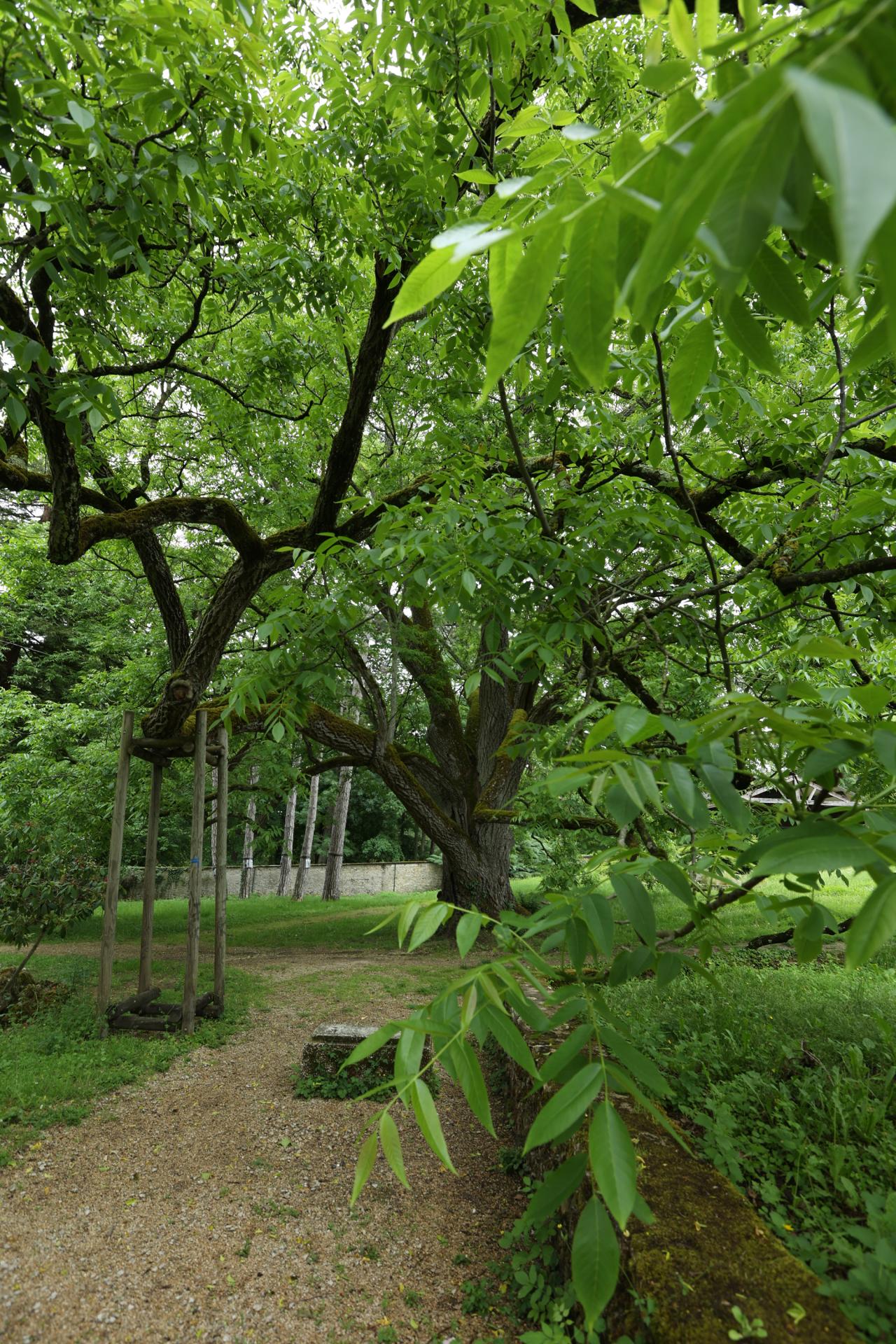 Melun Domaine parc Debreuil