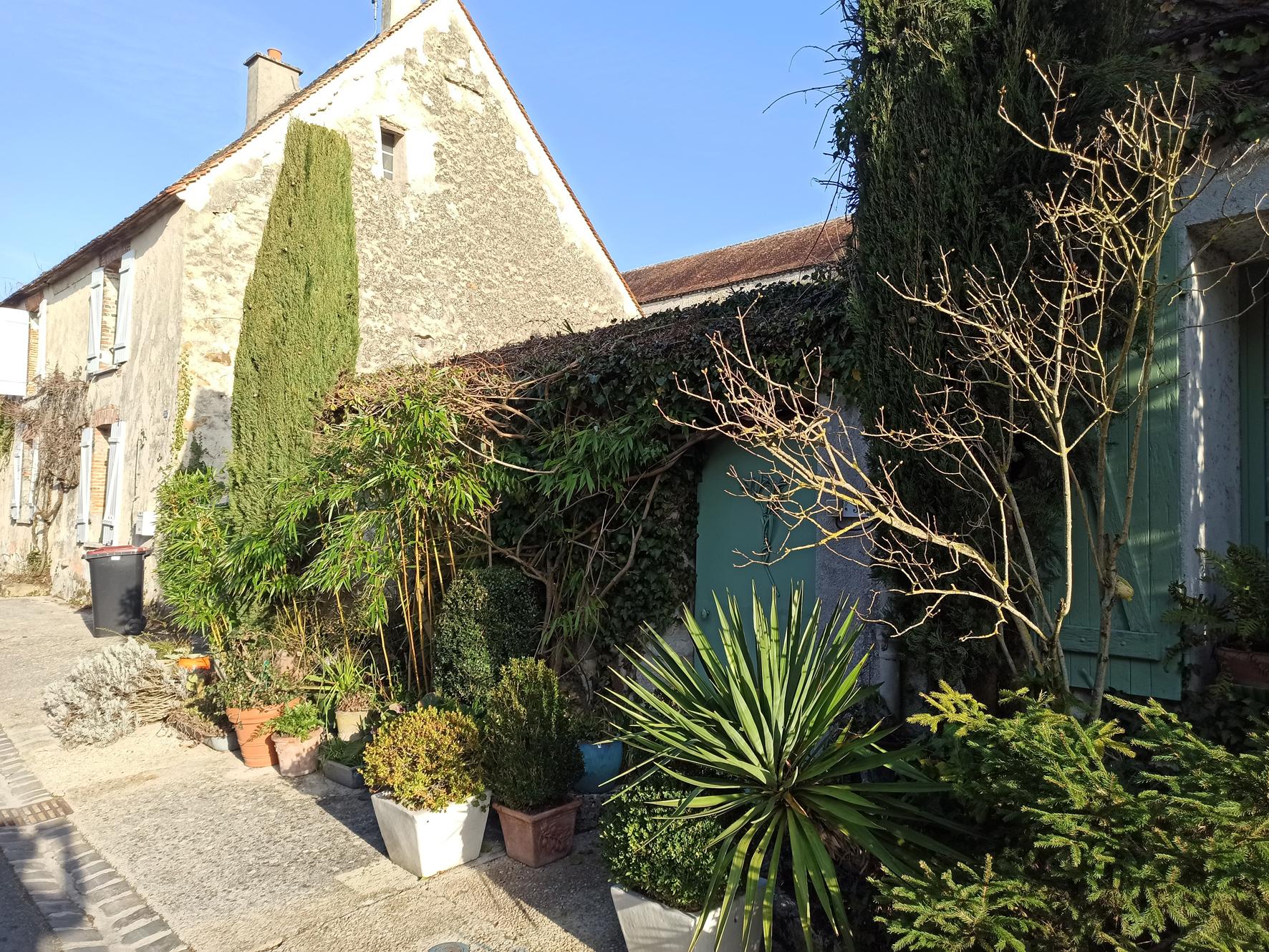 Un jardinet entre les murs